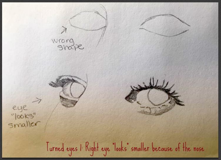 painting realistic eyes turned