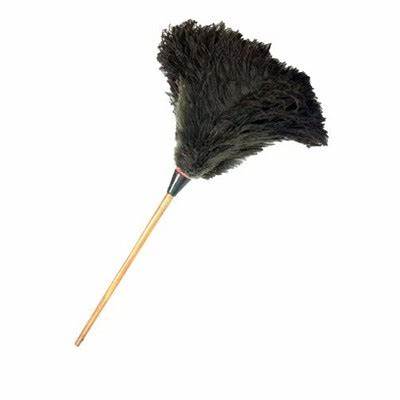 feather duster art show